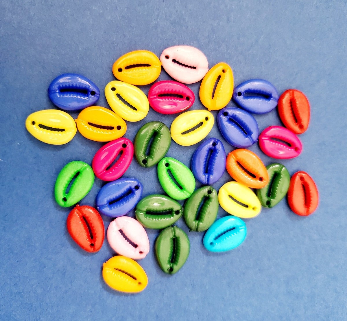 Multicolor Cowrie Shell (100 g)